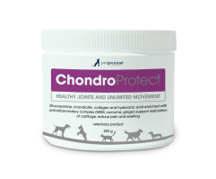 ChondroProtect 250 g, RÕÕM LIIKUMISEST!