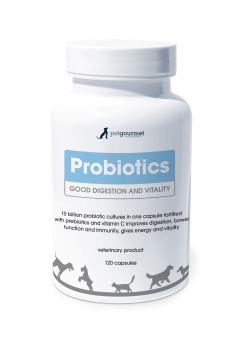 Probiotics, PROBIOOTIKUMID HEAKS SEEDIMISEKS JA HEAOLUKS!